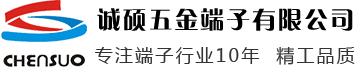 圆环端子,铜带机铜带,250|旗型|205端子,冷压|187|110端子,焊接端子-东莞市诚硕五金端子有限公司